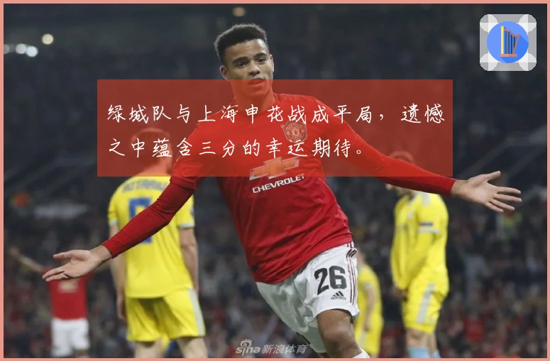 绿城队与上海申花战成平局，遗憾之中蕴含三分的幸运期待。