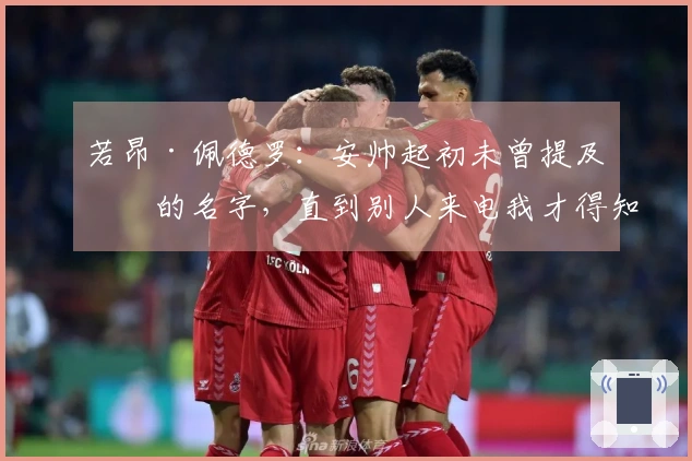 若昂·佩德罗：安帅起初未曾提及我的名字，直到别人来电我才得知入选消息