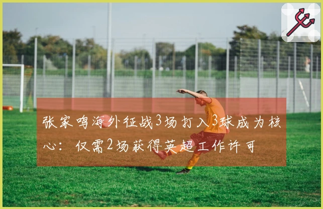 张家鸣海外征战3场打入3球成为核心：仅需2场获得英超工作许可