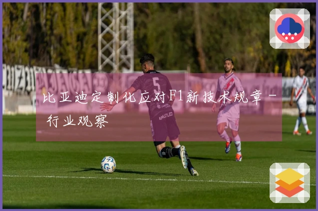 比亚迪定制化应对F1新技术规章 - 行业观察