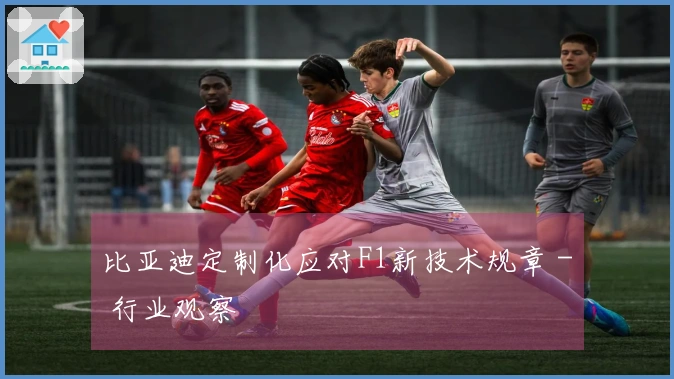 比亚迪定制化应对F1新技术规章 - 行业观察