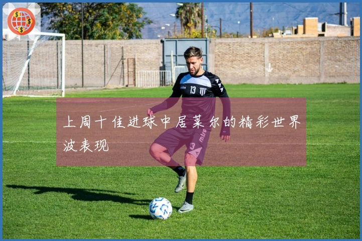 上周十佳进球中居莱尔的精彩世界波表现